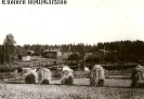 LUOMEN_MYLLYKARTANO